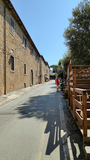 Winery Castello di Bolgheri - Thumbnail