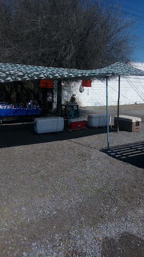 Cabritos y machitos