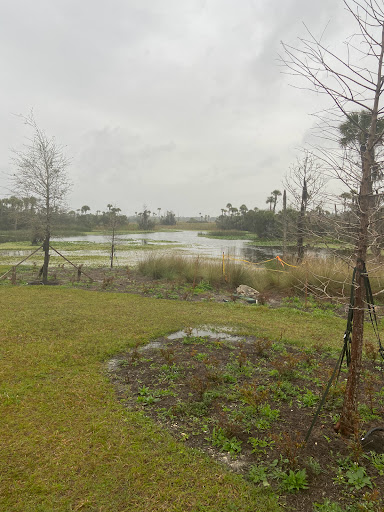 Florida Trail - Visual