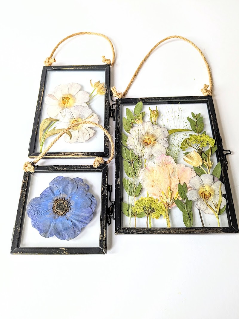 The wildflower press photo 2