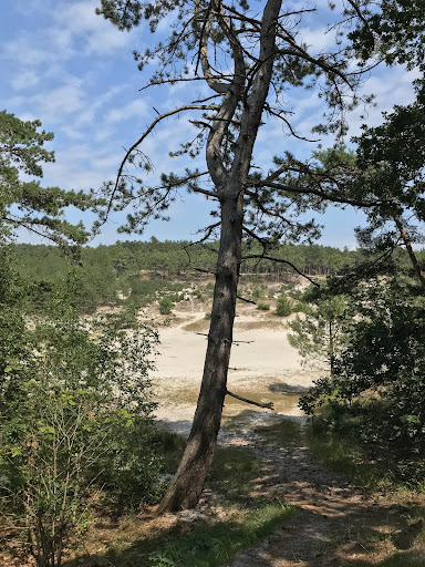 Speelkuil - Thumbnail