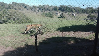 Photos of Seaview Predator Park