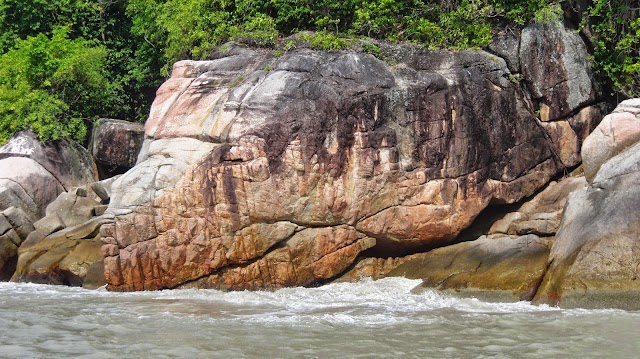 Penang National Park