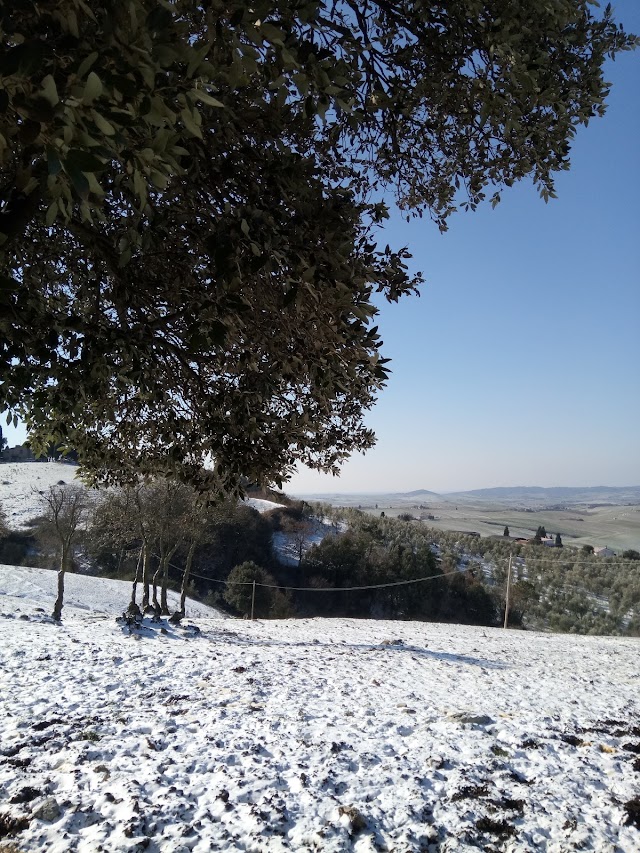 Agriturismo Le Vignacce