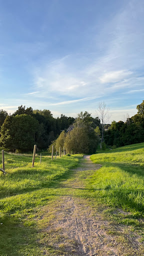Tingshögen - Thumbnail