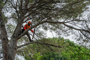Photo n°4 de ABC ENVIRONNEMENT SAS à Morières-lès-Avignon (Paysagiste)