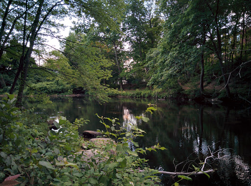 Milford Recreation Department - Thumbnail