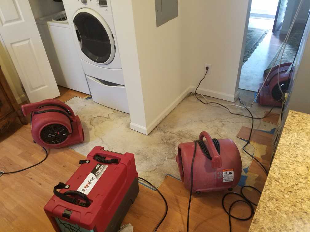 PuroClean Water/Mold/Fire Damage Experts photo