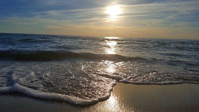 Photos of Nida nudist beach