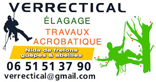 Photo n°15 de Verrectical à Toulon (Service d'élagage)