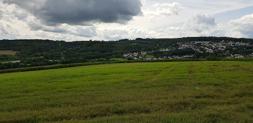 Panoramablick auf Kaisersesch - Thumbnail