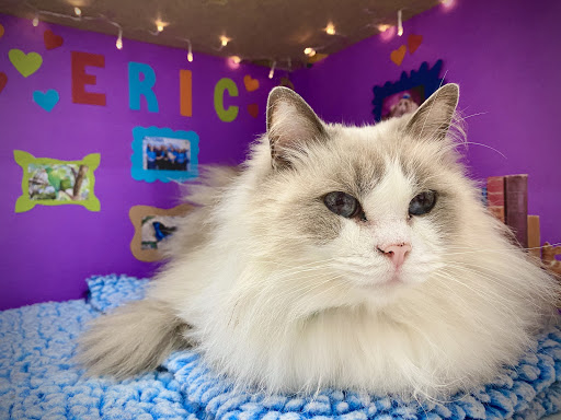 Altona Veterinary Clinic Gallery - Australia