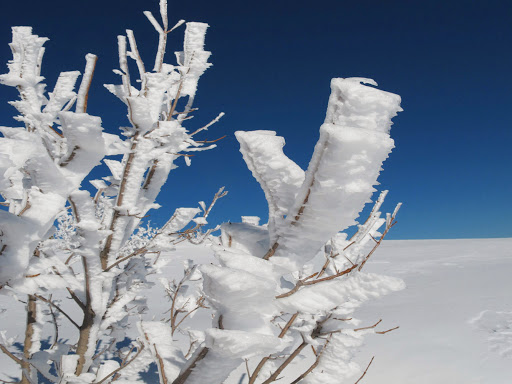 Office de Tourisme Montagne de Lure - Thumbnail