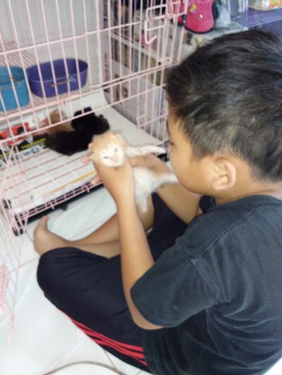 Photos of Kucing Dinda Banjarmasin