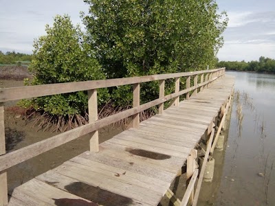 Photos of Mangrove Eco Tourism, Sheets, West Lombok regency