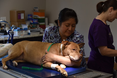 Photo of Western Hills Pet Hospital Perro