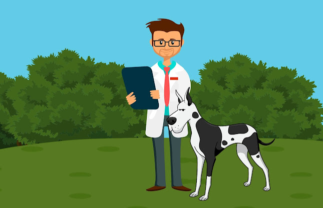 Avis sur Vetsway, logiciel tout en un cloud de gestion de clinique vétérinaire à Lardenne - Agence d'intérim