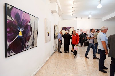 Photos of Modern Art Museum