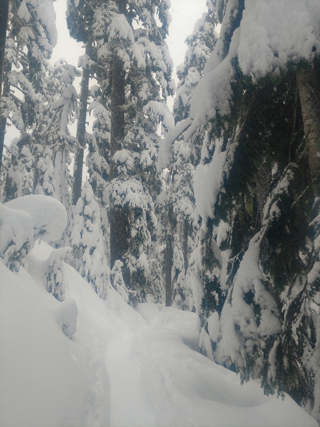 Snow Lake