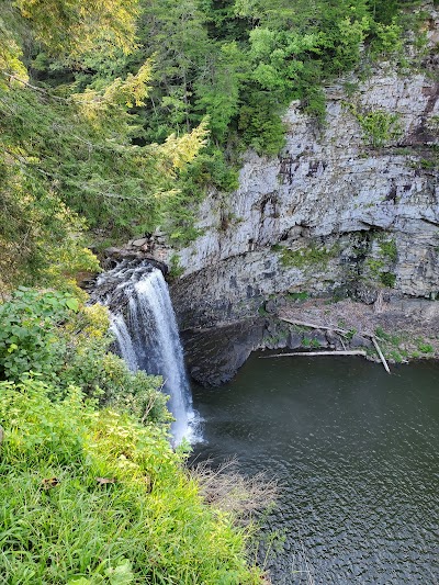 Fall Creek Falls Family Campground C