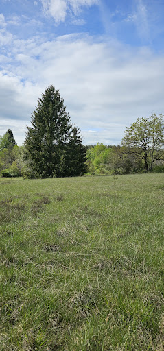 Belvédère de bellecin - Thumbnail