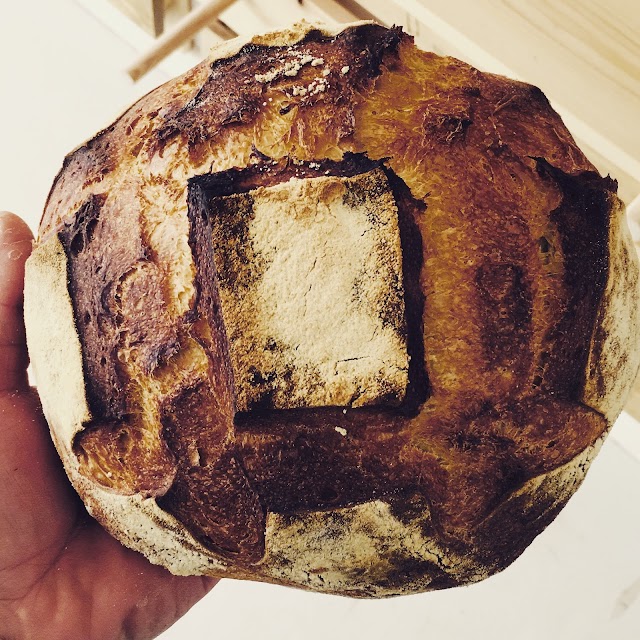 little SOURDOUGH KITCHEN