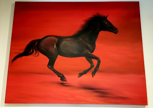 Padilla Gallery - Visual