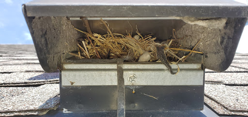 All Clear Dryer Vent Cleaning - Thumbnail