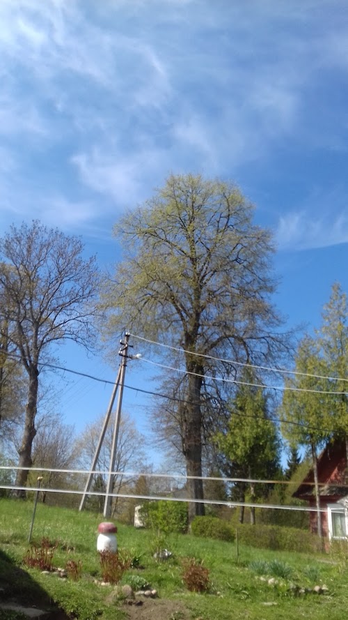 Kazitiskis St. Bishop Stanislovas Church