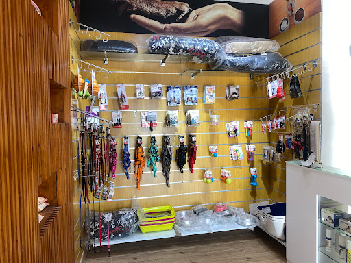 Clinica Veterinaria CityVet