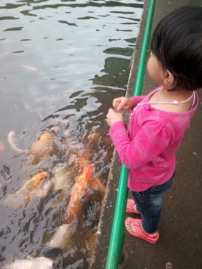 Photos of Ajibarang city park