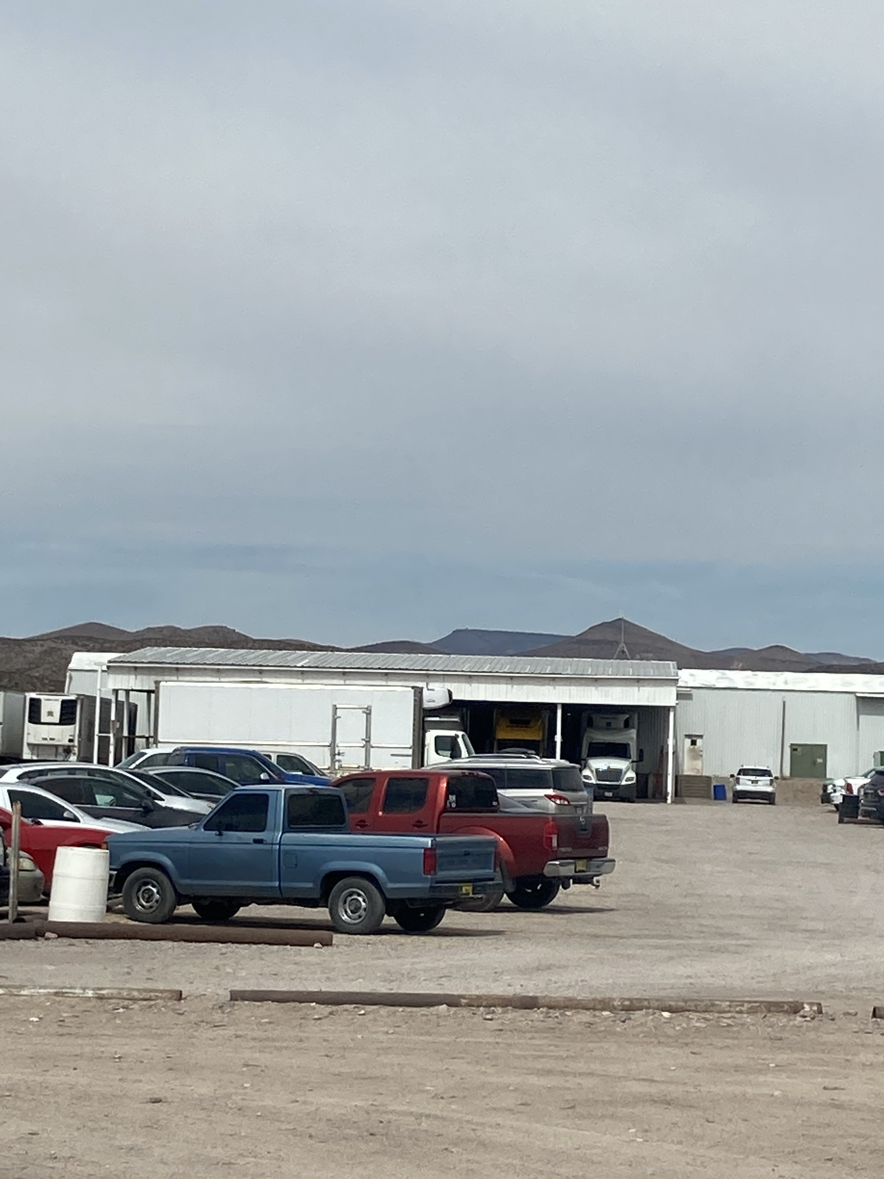 Masson Farms of New Mexico Inc