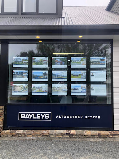 Bayleys Tekapo - Thumbnail