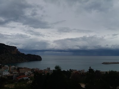 Photos of Caf&eacute; Bouheira