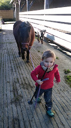 Photo n°1 de Equit'anime à Malansac (Centre équestre)