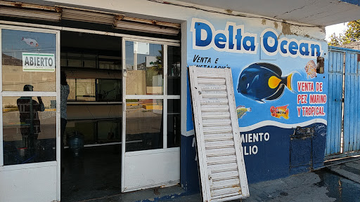 Delta Ocean