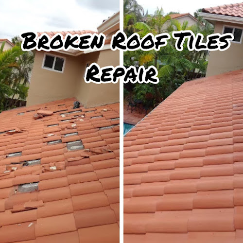 Pro Tech Roofing Contractor & Assoc Inc