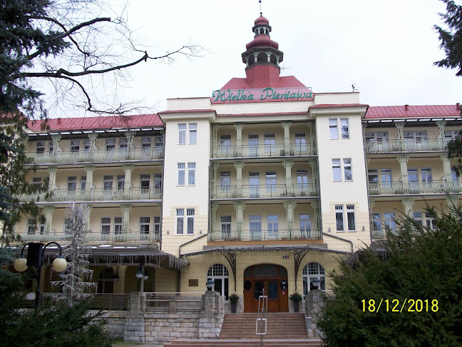 Źródło Wielka Pieniawa - Polanica-Zdrój