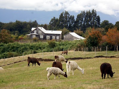 Photos of Sweet Home B&B