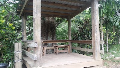 Photos of Koroyanitu National Heritage Park