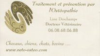 Dr Line Deschamps Vétérinaire pratiquant l'ostéopathie / Médecines alternatives et complémentaires à Maisdon-sur-Sèvre