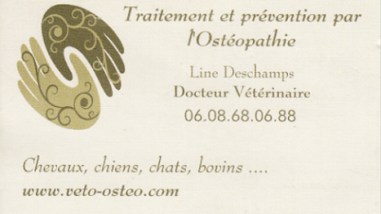 Dr Line Deschamps Vétérinaire pratiquant l'ostéopathie / Médecines alternatives et complémentaires