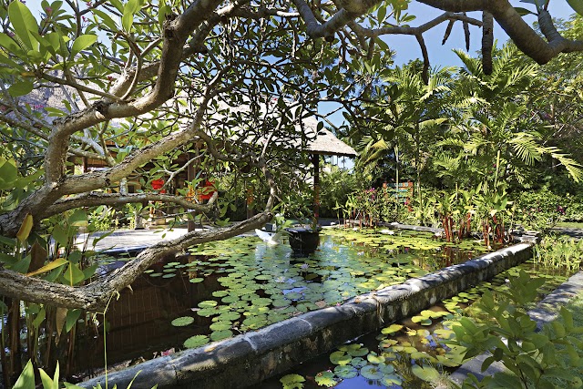Mimpi Resort Menjangan
