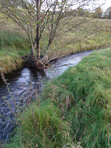 Wanless Stepping Stones