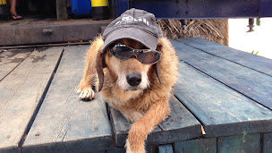 Photo n°3 de ACTISUB Ecole de Plongée de Saint Florent en Corse à Saint-Florent (Sports)