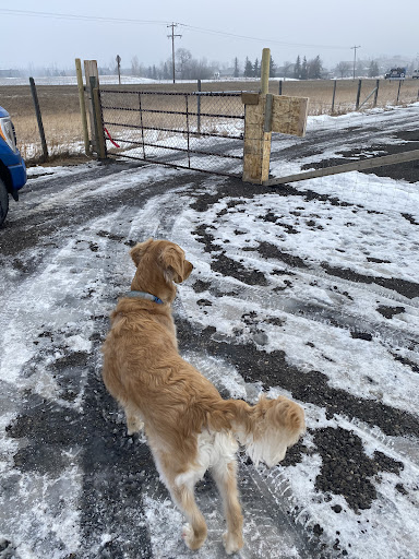 MyWalkies - Visual