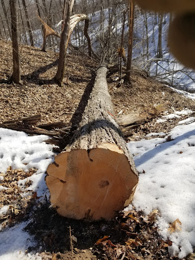 Pure Iowa Logging - Thumbnail