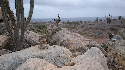 Photos of Aruba Peace Labyrinth