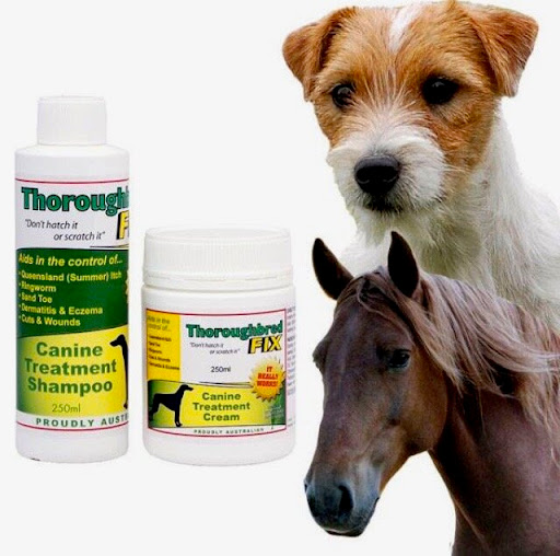 Thoroughbred Fix - Visual