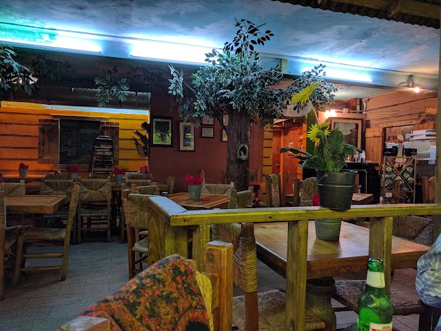 Raices